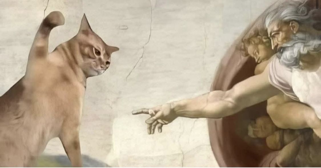 ...